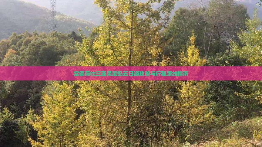 常德前往三亚呆呆岛五日游攻略与行程路线指南
