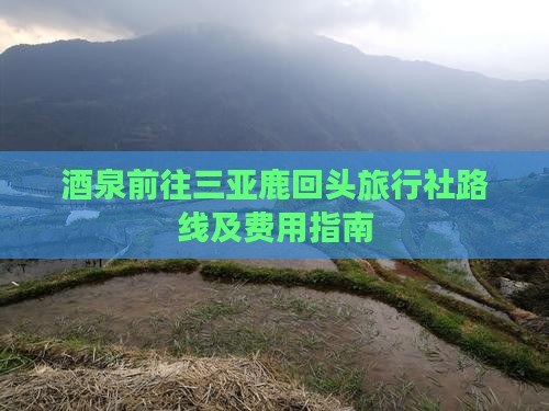 酒泉前往三亚鹿回头旅行社路线及费用指南