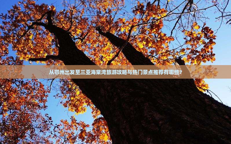 从鄂州出发至三亚海棠湾旅游攻略与热门景点推荐有哪些？