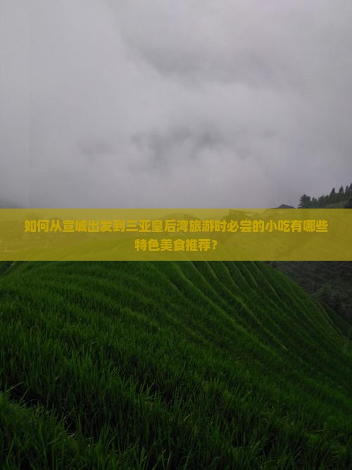 如何从宣城出发到三亚皇后湾旅游时必尝的小吃有哪些特色美食推荐？