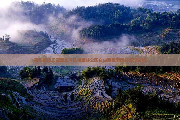 朔州前往三亚亚龙湾热带森林公园自由团探索雨林奇观之旅