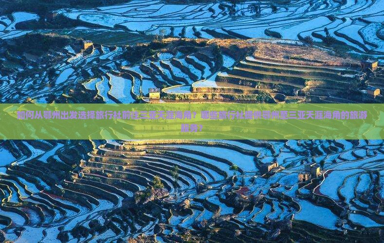 如何从鄂州出发选择旅行社前往三亚天涯海角？哪些旅行社提供鄂州至三亚天涯海角的旅游服务？