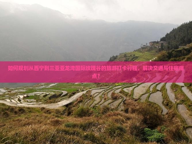 如何规划从西宁到三亚亚龙湾国际玫瑰谷的旅游打卡行程，解决交通与住宿痛点？