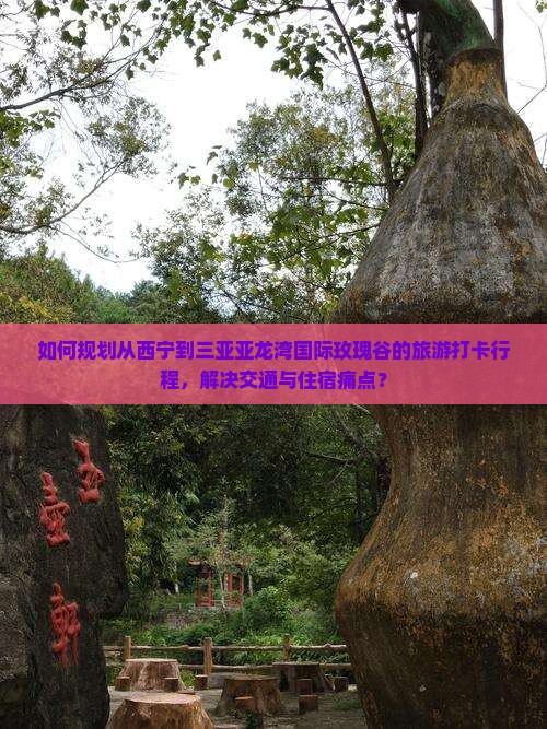 如何规划从西宁到三亚亚龙湾国际玫瑰谷的旅游打卡行程，解决交通与住宿痛点？