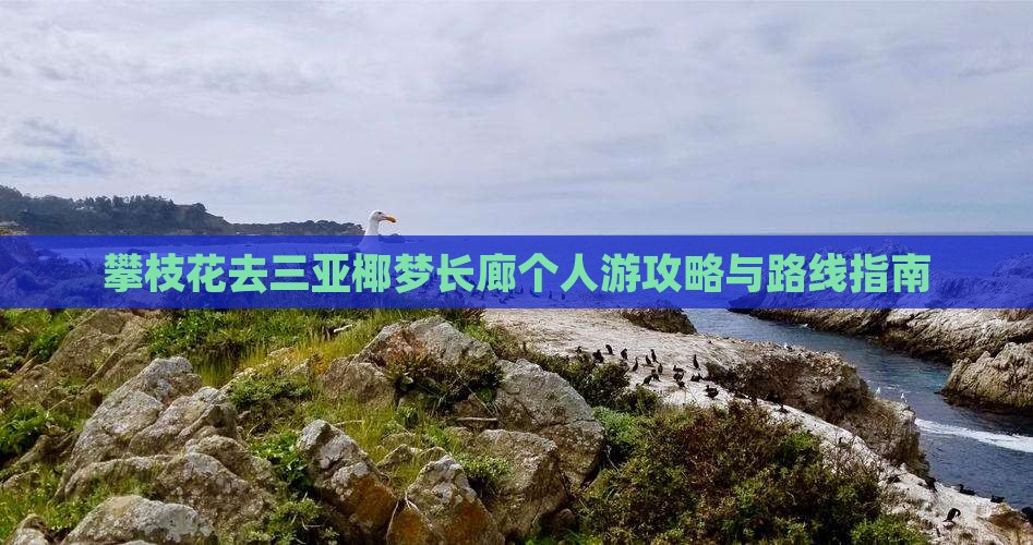 攀枝花去三亚椰梦长廊个人游攻略与路线指南