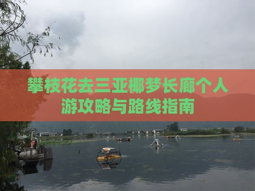 攀枝花去三亚椰梦长廊个人游攻略与路线指南