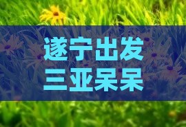 遂宁出发三亚呆呆岛必玩地推荐