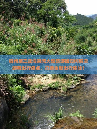 宿州至三亚海棠湾大型旅游团如何解决游客出行痛点，打造全新出行体验？