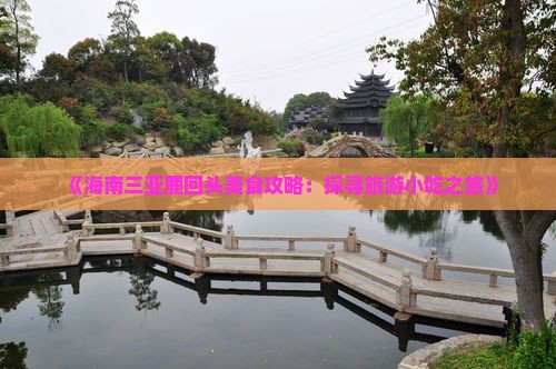 《海南三亚鹿回头美食攻略：探寻旅游小吃之旅》