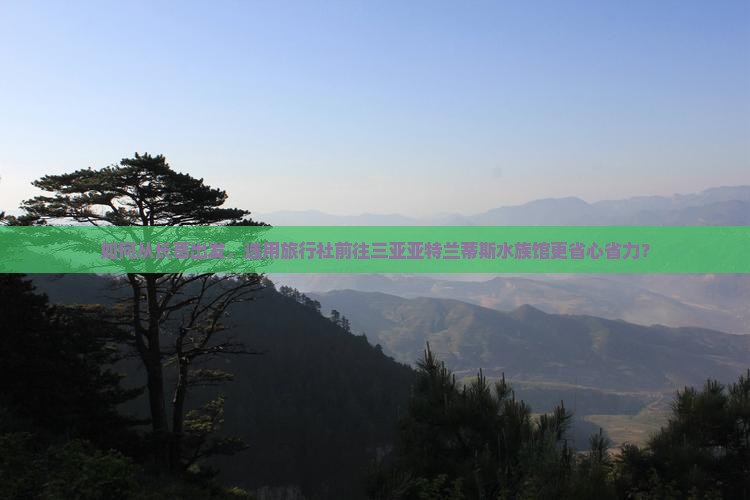 如何从长葛出发，选用旅行社前往三亚亚特兰蒂斯水族馆更省心省力？