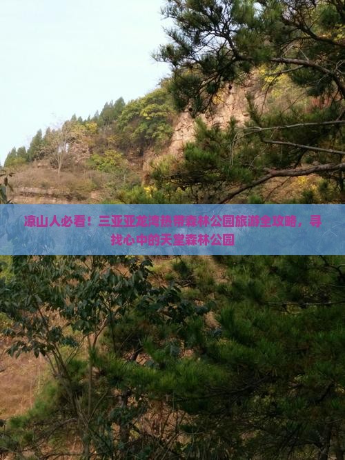 凉山人必看！三亚亚龙湾热带森林公园旅游全攻略，寻找心中的天堂森林公园