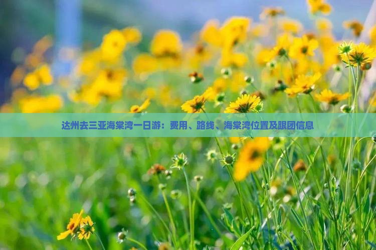 达州去三亚海棠湾一日游：费用、路线、海棠湾位置及跟团信息