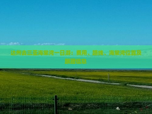 达州去三亚海棠湾一日游：费用、路线、海棠湾位置及跟团信息