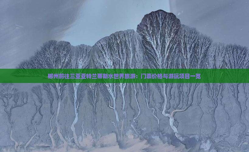 郴州前往三亚亚特兰蒂斯水世界旅游：门票价格与游玩项目一览
