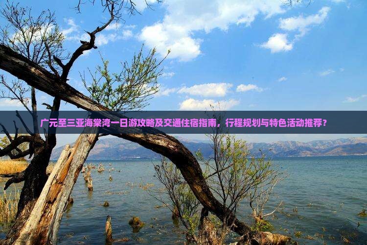 广元至三亚海棠湾一日游攻略及交通住宿指南，行程规划与特色活动推荐？