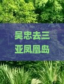吴忠去三亚凤凰岛攻略：自驾路线、一日游方案及机票信息
