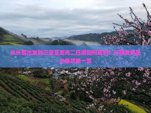 从长葛出发到三亚亚龙湾二日游如何规划？行程安排及必备攻略一览