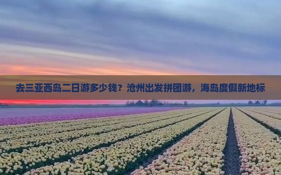 去三亚西岛二日游多少钱？沧州出发拼团游，海岛度假新地标