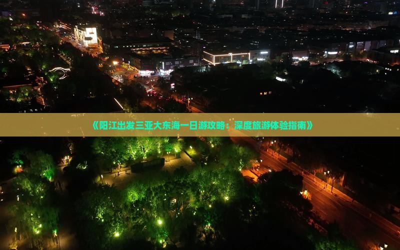 《阳江出发三亚大东海一日游攻略：深度旅游体验指南》