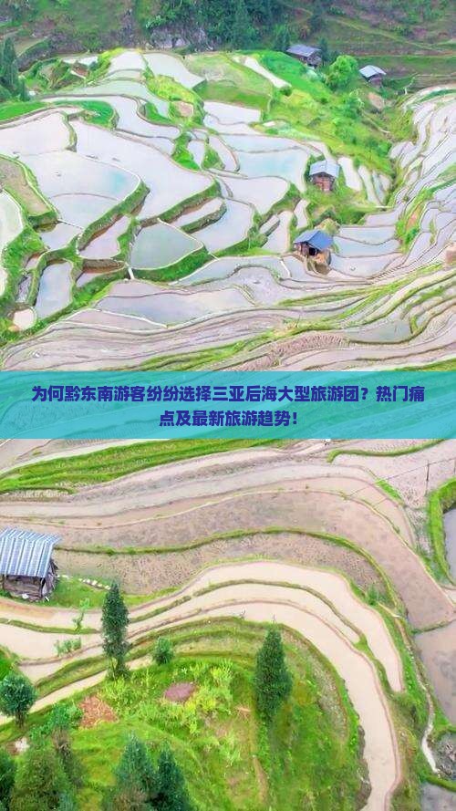 为何黔东南游客纷纷选择三亚后海大型旅游团？热门痛点及最新旅游趋势！
