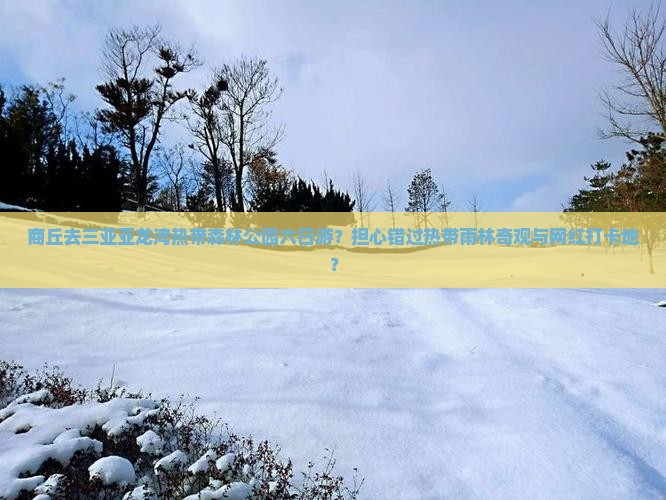 商丘去三亚亚龙湾热带森林公园六日游？担心错过热带雨林奇观与网红打卡地？