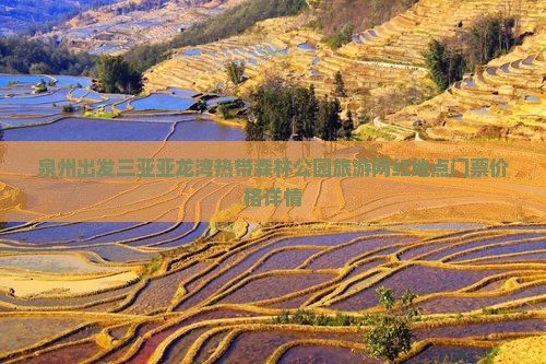 泉州出发三亚亚龙湾热带森林公园旅游网红地点门票价格详情