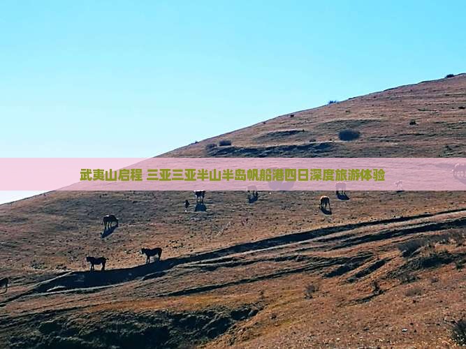 武夷山启程 三亚三亚半山半岛帆船港四日深度旅游体验