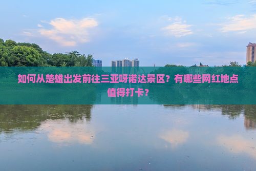 如何从楚雄出发前往三亚呀诺达景区？有哪些网红地点值得打卡？