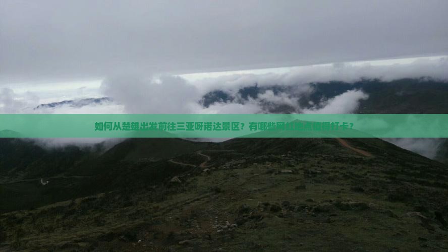 如何从楚雄出发前往三亚呀诺达景区？有哪些网红地点值得打卡？