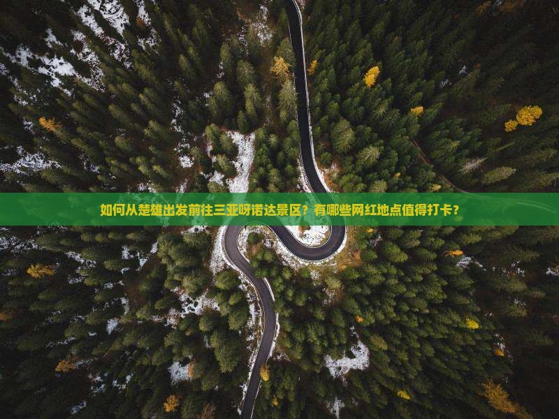 如何从楚雄出发前往三亚呀诺达景区？有哪些网红地点值得打卡？