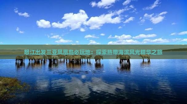 怒江出发三亚凤凰岛必玩地：探索热带海滨风光精华之旅