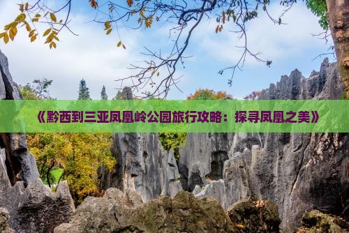 《黔西到三亚凤凰岭公园旅行攻略：探寻凤凰之美》