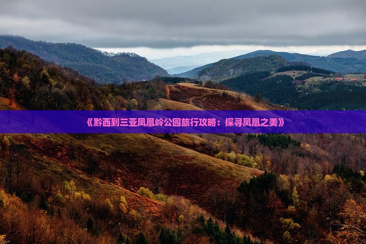 《黔西到三亚凤凰岭公园旅行攻略：探寻凤凰之美》