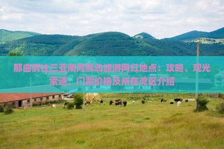 那曲前往三亚南湾猴岛旅游网红地点：攻略、观光索道、门票价格及所在湾区介绍