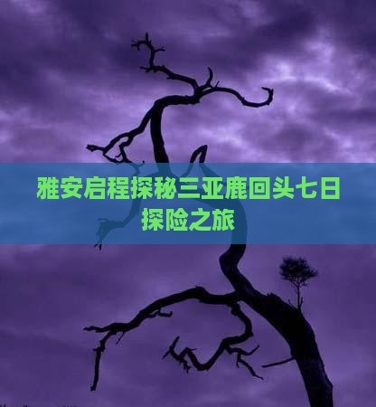 雅安启程探秘三亚鹿回头七日探险之旅