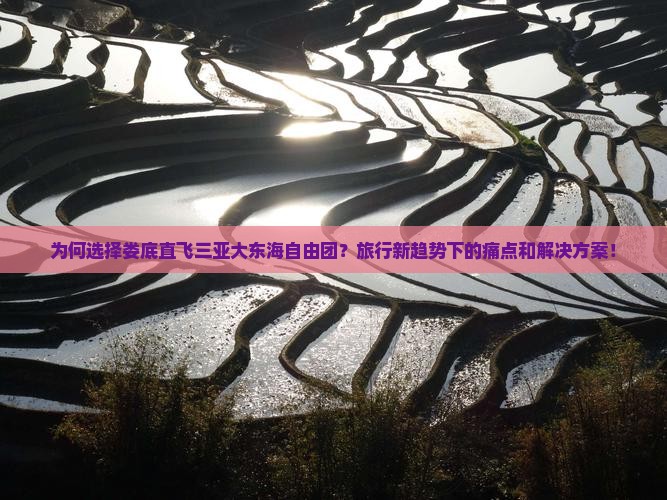 为何选择娄底直飞三亚大东海自由团？旅行新趋势下的痛点和解决方案！