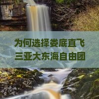 为何选择娄底直飞三亚大东海自由团？旅行新趋势下的痛点和解决方案！