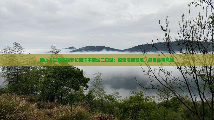 保山去三亚海昌梦幻海洋不夜城二日游：探索海底奇观，感受热带风情
