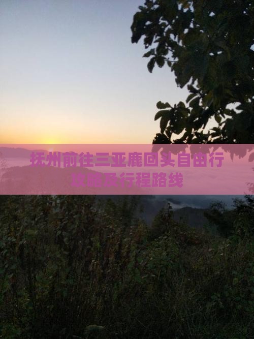 抚州前往三亚鹿回头自由行攻略及行程路线