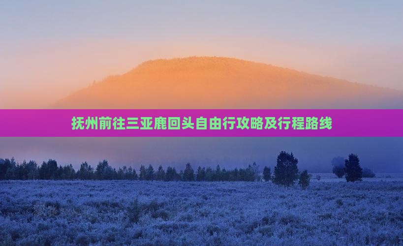 抚州前往三亚鹿回头自由行攻略及行程路线