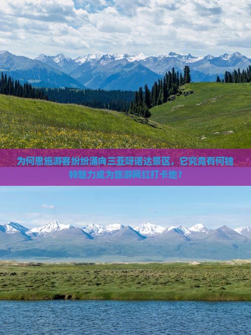 为何恩施游客纷纷涌向三亚呀诺达景区，它究竟有何独特魅力成为旅游网红打卡地？