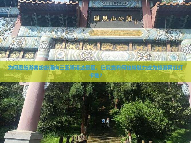 为何恩施游客纷纷涌向三亚呀诺达景区，它究竟有何独特魅力成为旅游网红打卡地？