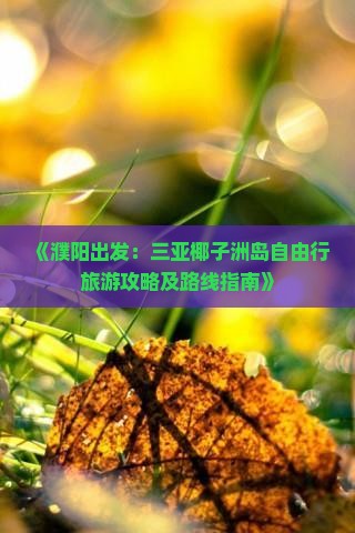 《濮阳出发：三亚椰子洲岛自由行旅游攻略及路线指南》