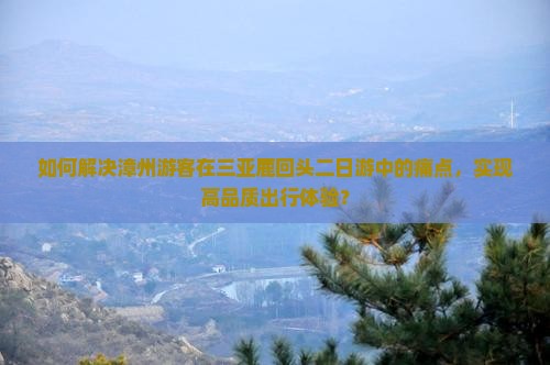 如何解决漳州游客在三亚鹿回头二日游中的痛点，实现高品质出行体验？