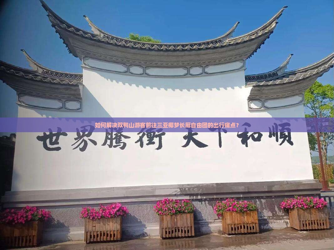 如何解决双鸭山游客前往三亚椰梦长廊自由团的出行痛点？