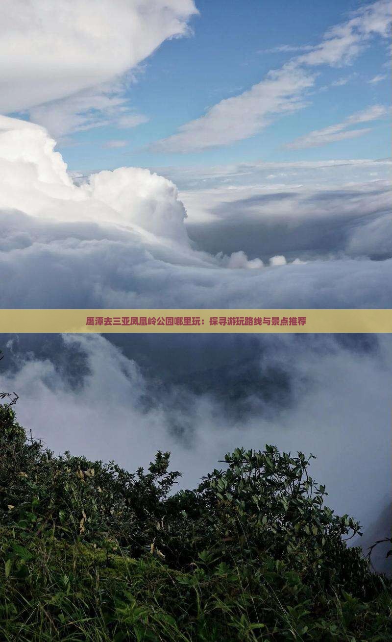 鹰潭去三亚凤凰岭公园哪里玩：探寻游玩路线与景点推荐