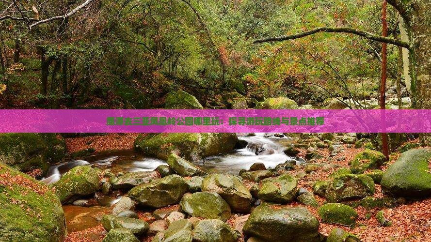 鹰潭去三亚凤凰岭公园哪里玩：探寻游玩路线与景点推荐