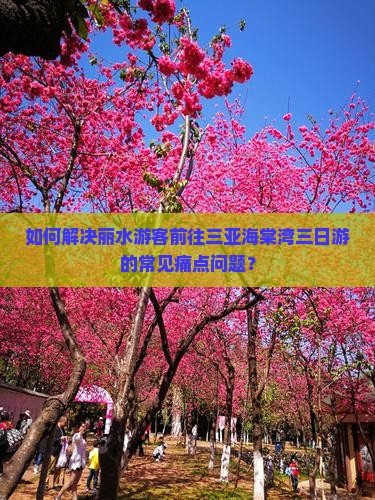 如何解决丽水游客前往三亚海棠湾三日游的常见痛点问题？