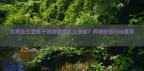 太原去三亚椰子洲岛旅游怎么安排？有哪些旅行社推荐？