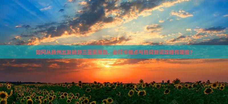 如何从扬州出发畅游三亚呆呆岛，必打卡痛点与热词新词攻略有哪些？